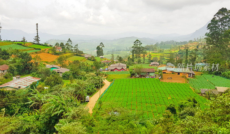 在斯里兰卡的火车旅行通过茶叶种植园Ella, Nuwara Eliya和Kandy